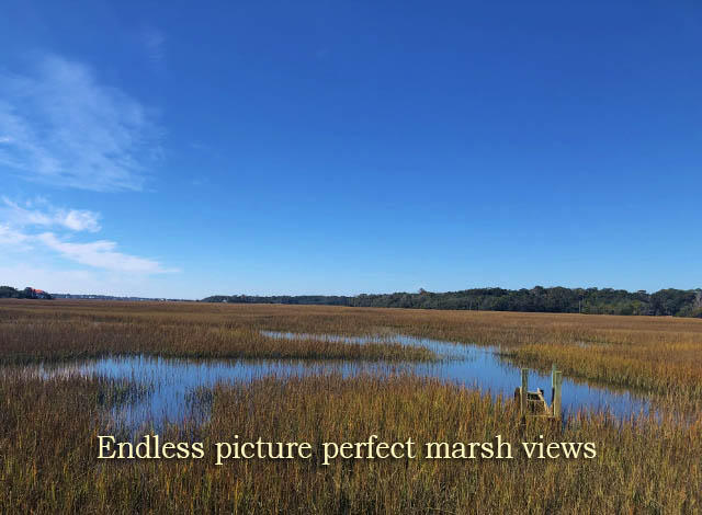 113 Jungle Road Edisto Island, SC 29438 - Photo 4 of 23 4