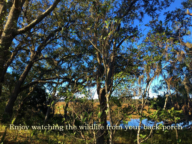 113 Jungle Road Edisto Island, SC 29438 - Photo 5 of 23 5