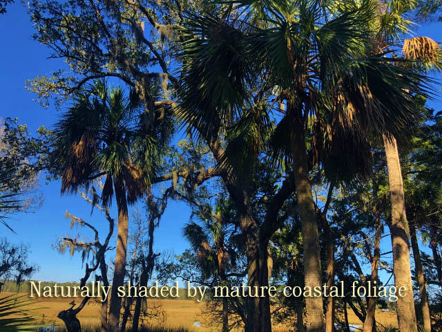 113 Jungle Road Edisto Island, SC 29438 - Photo 7 of 23 7
