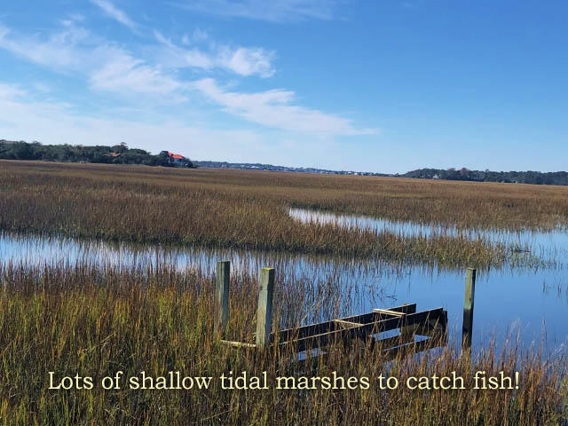113 Jungle Road Edisto Island, SC 29438 - Photo 8 of 23 8