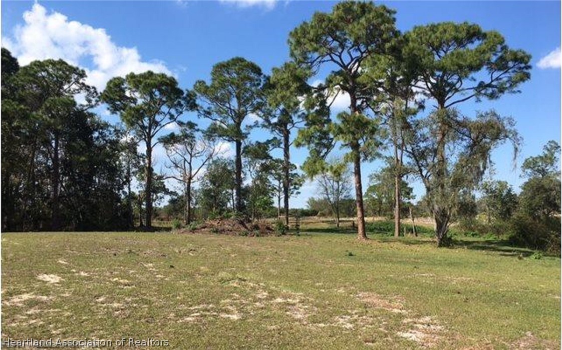 689 Moon Road Sebring, FL 33870 - Photo 3 of 15 Gallery Image 3