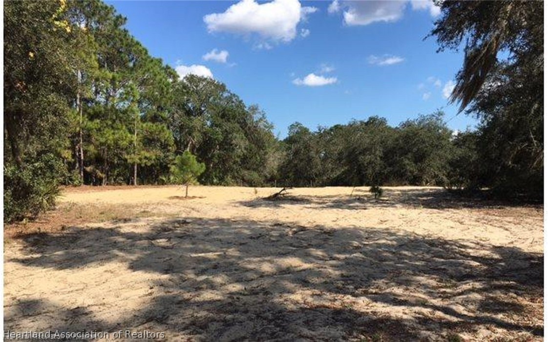 689 Moon Road Sebring, FL 33870 - Photo 4 of 15 Gallery Image 4