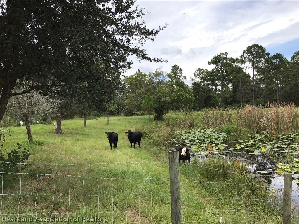 689 Moon Road Sebring, FL 33870 - Photo 7 of 15 Gallery Image 7