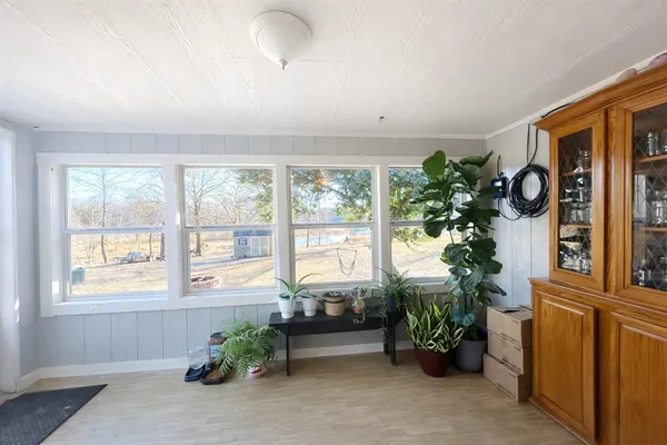 a living room with furniture and potted plants