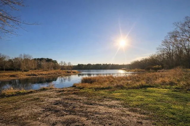 a view of a lake from a yard