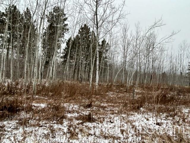 Tbd4 Larson Road Atlantic Mine, MI 49905 - Photo 23 of 41 Gallery Image 23