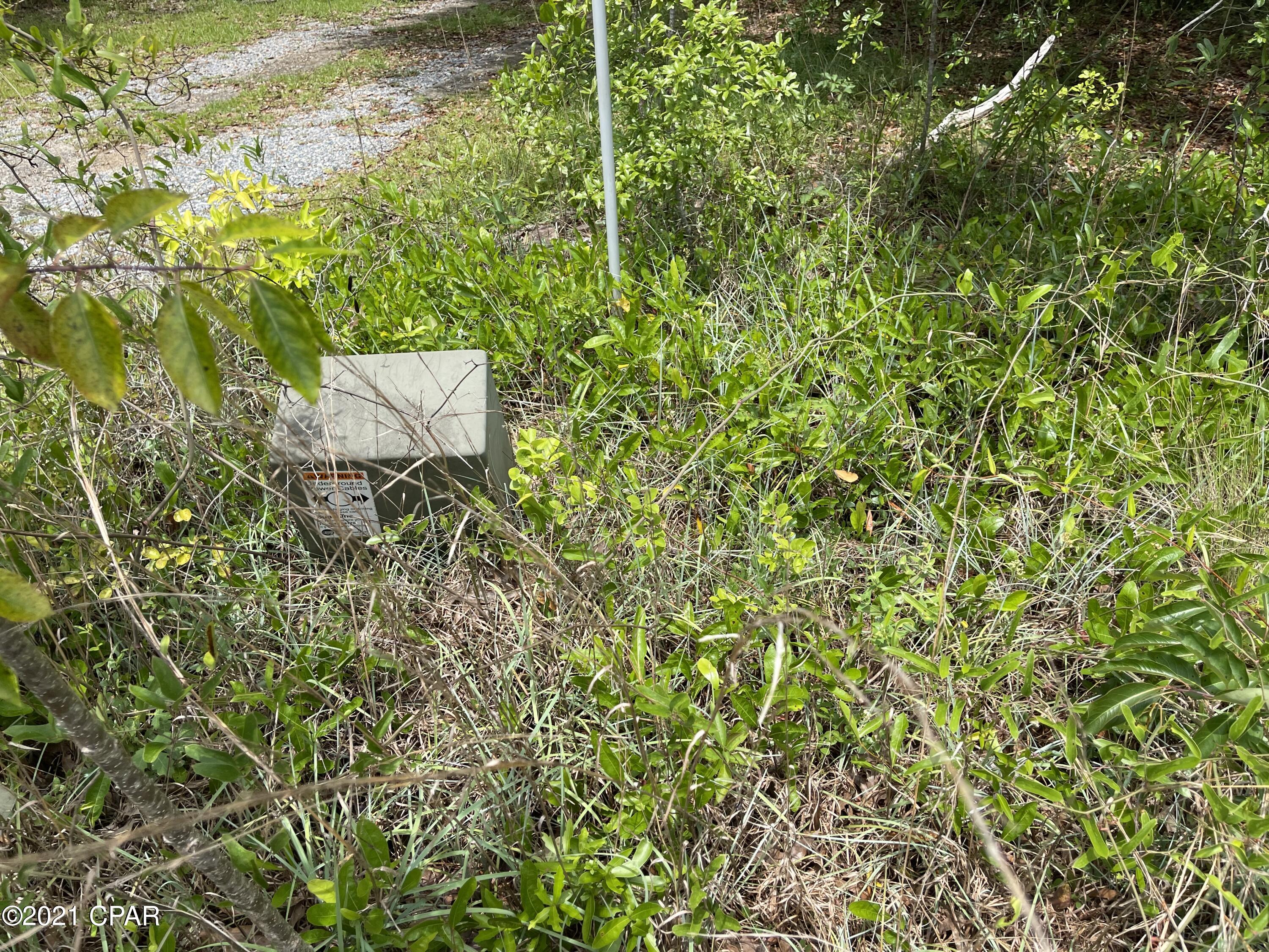 0 Mosquito Road Chipley, FL 32428 - Photo 4 of 8 Gallery Image 4