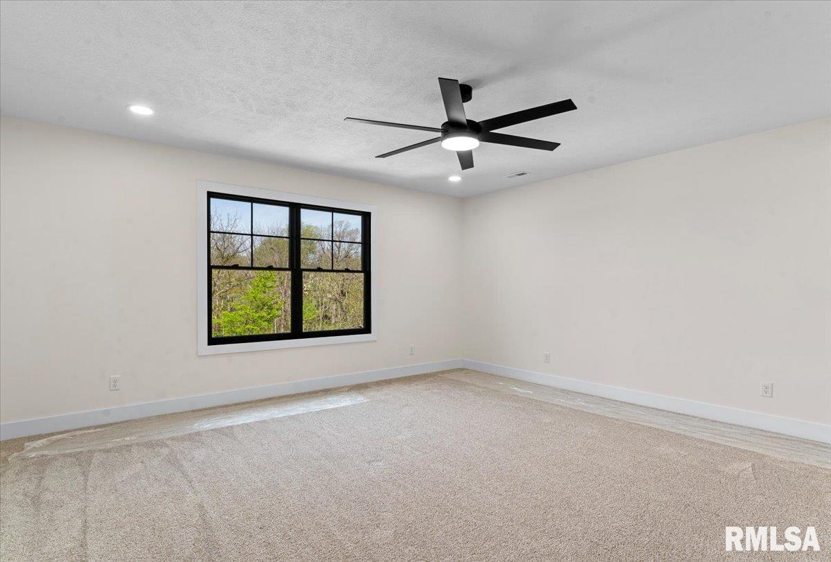 3315 Sudduth Road Sherman, IL 62684 - Photo 31 of 57