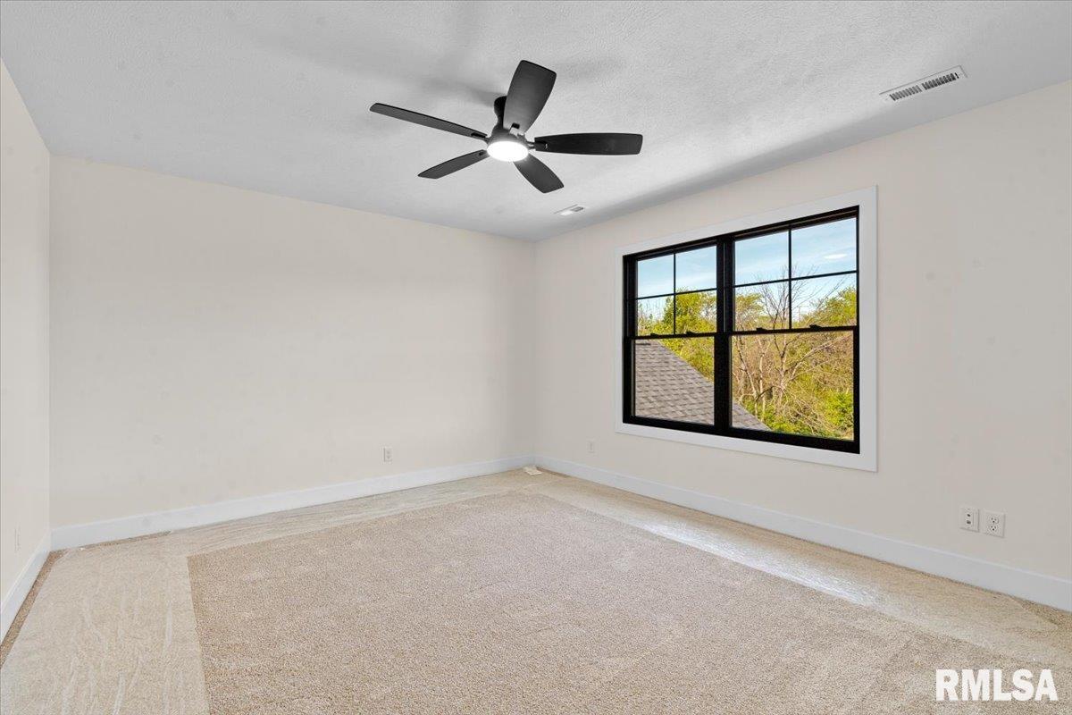 3315 Sudduth Road Sherman, IL 62684 - Photo 43 of 57