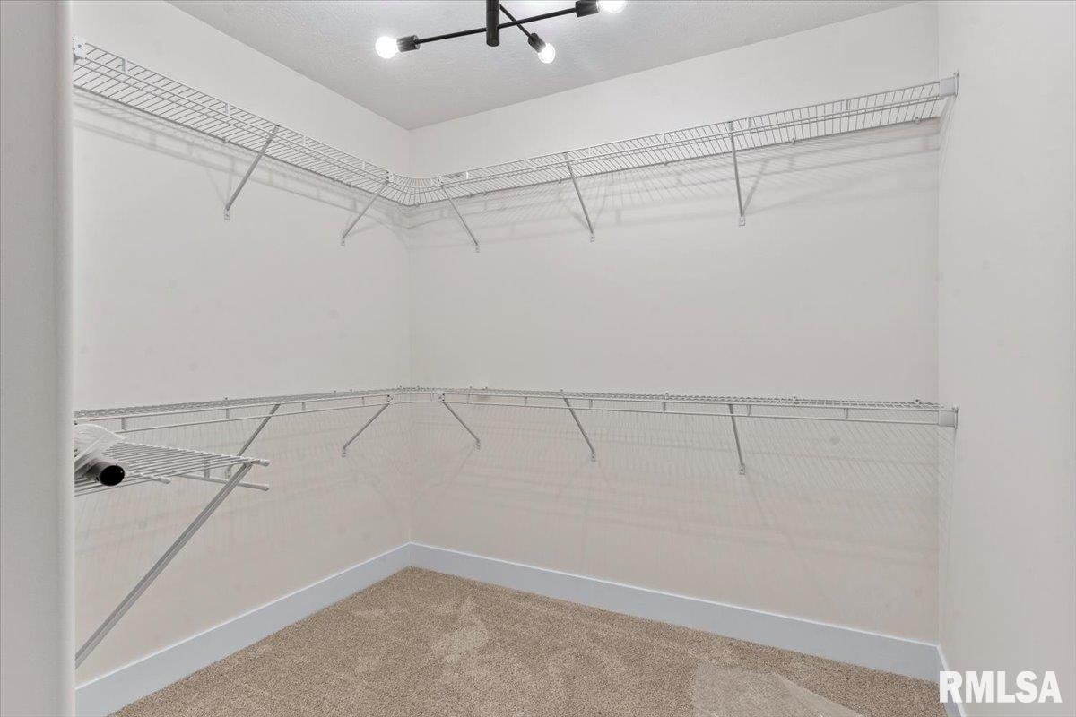 3315 Sudduth Road Sherman, IL 62684 - Photo 50 of 57