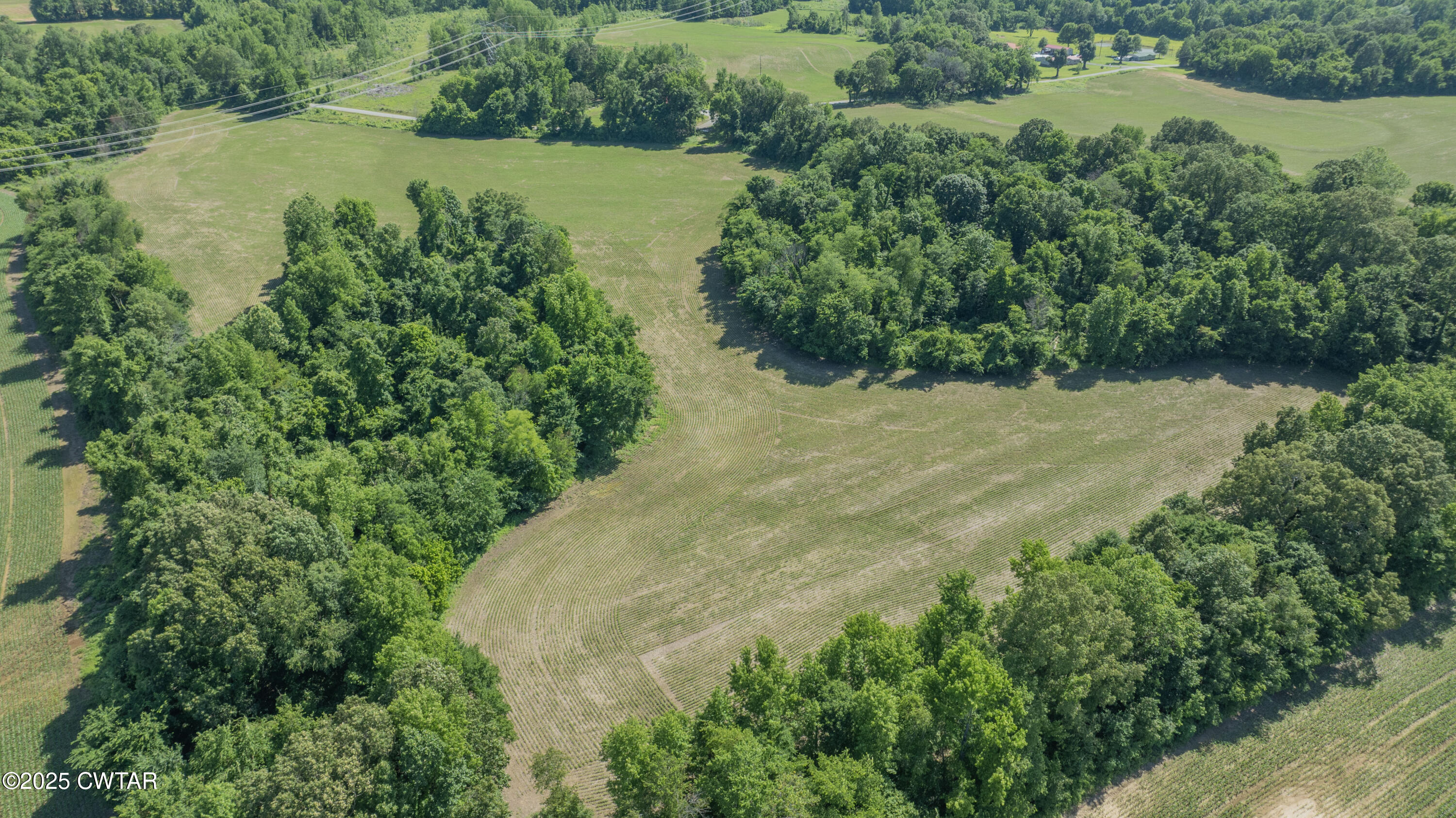 -- Cane Creek Road Bells, TN 38006 - Photo 11 of 15 Drone 8