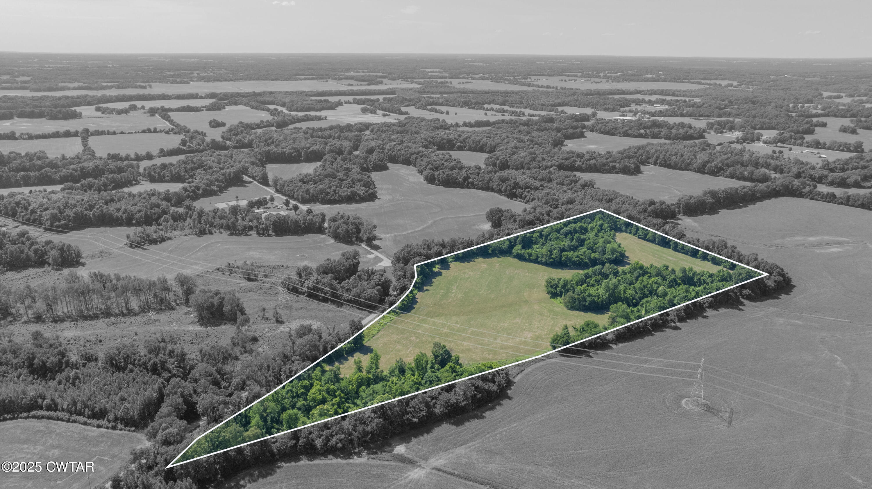 -- Cane Creek Road Bells, TN 38006 - Photo 13 of 15 Property Lines