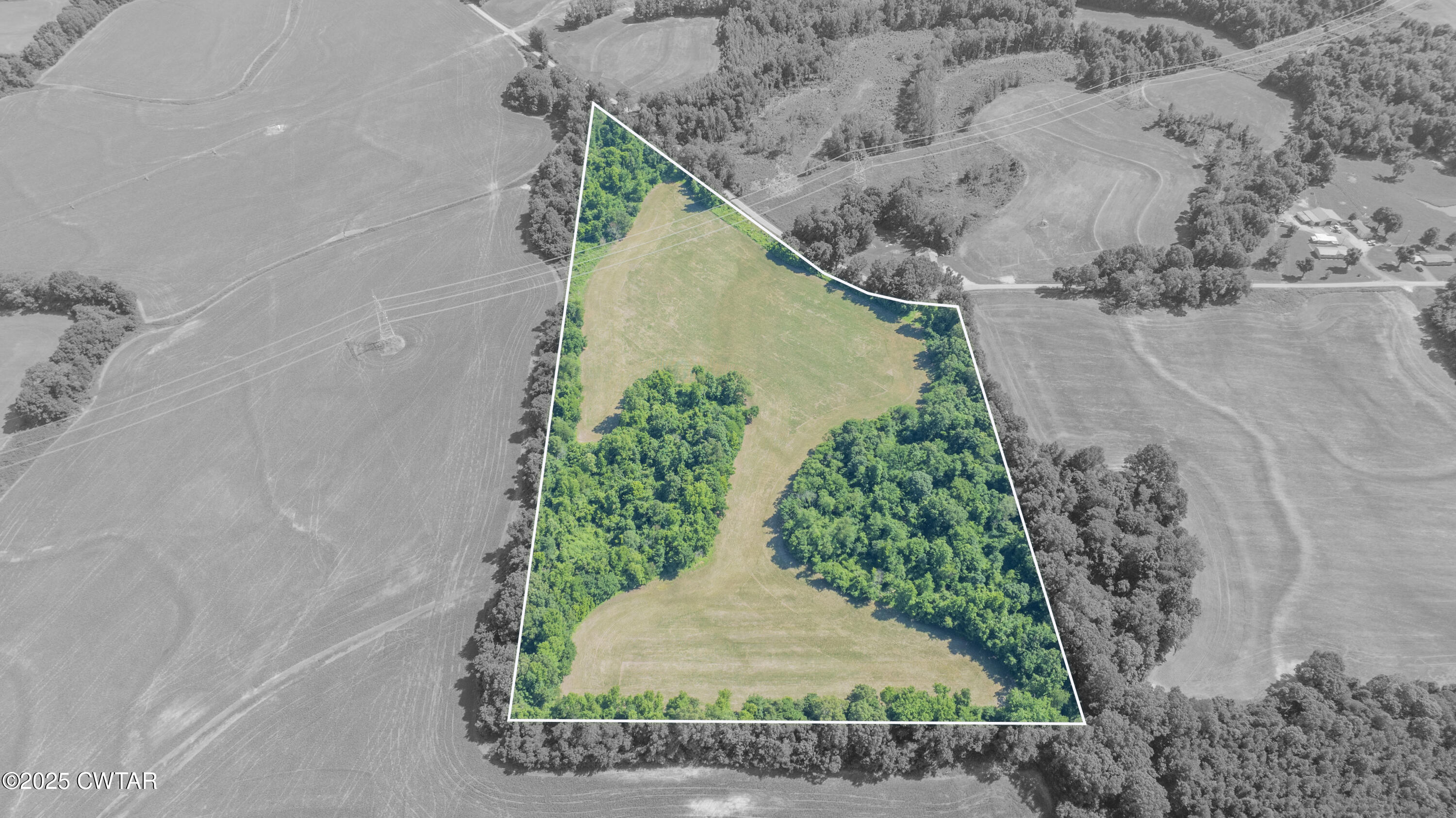 -- Cane Creek Road Bells, TN 38006 - Photo 14 of 15 Property Lines