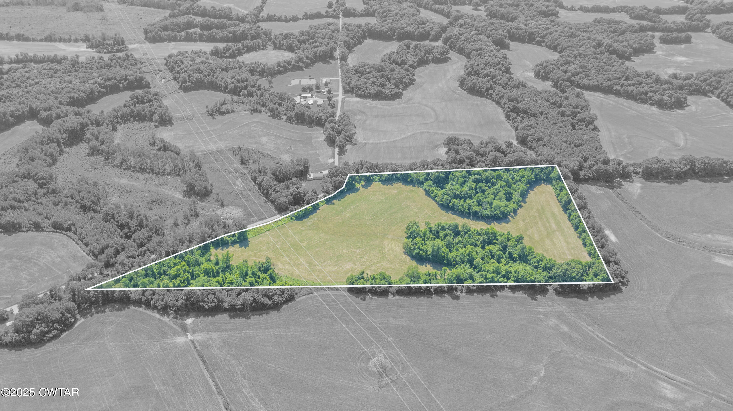 -- Cane Creek Road Bells, TN 38006 - Photo 3 of 15 Property Lines