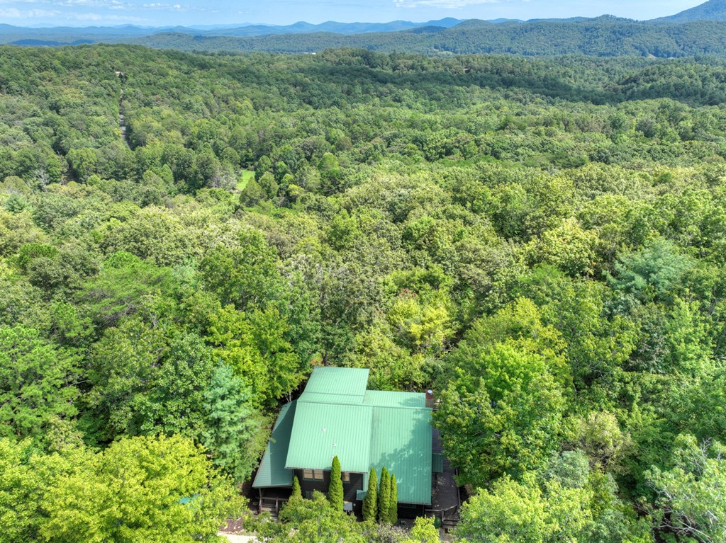 296 Overlook Road Blue Ridge, GA 30513 - Photo 13 of 65 Gallery Image 13