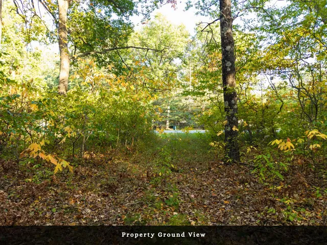 $34,000 | Vl North High Bridge Road, Brethren, MI 49619