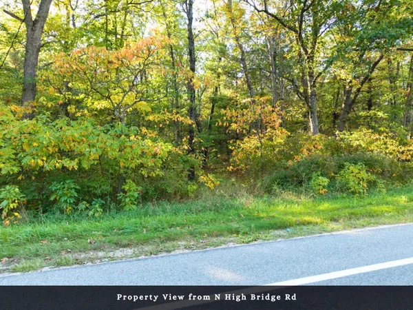 $32,000 | Vl North High Bridge Road, Brethren, MI 49619