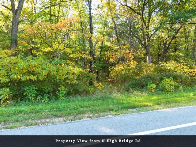 $34,000 | Vl North High Bridge Road, Brethren, MI 49619