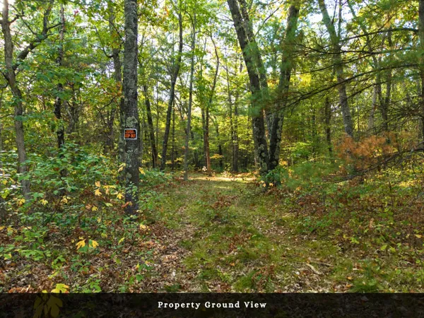 $32,000 | Vl North High Bridge Road, Brethren, MI 49619