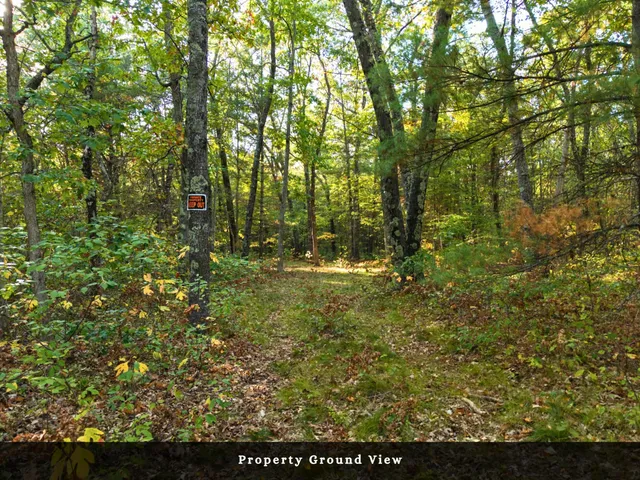 $34,000 | Vl North High Bridge Road, Brethren, MI 49619