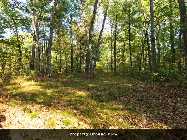 $32,000 | Vl North High Bridge Road, Brethren, MI 49619
