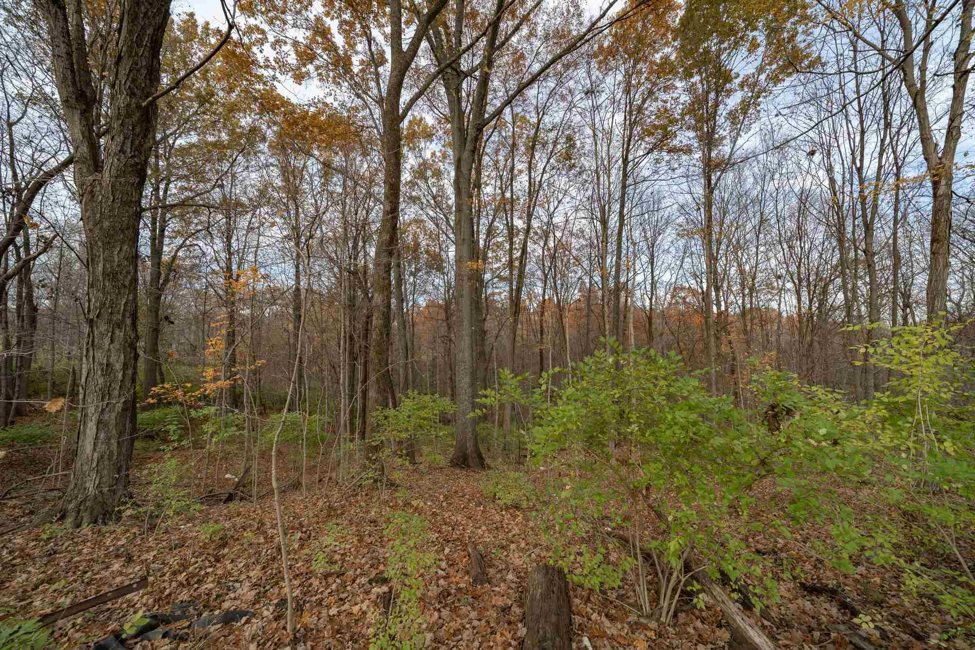 795 Harrison Ridge Road Dry Ridge, KY 41035 - Photo 18 of 21