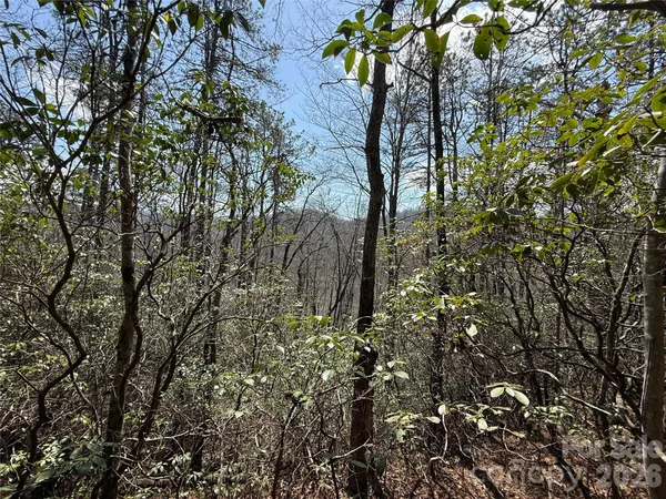 $85,000 | 0 Line Runner Ridge Road, Rosman, NC 28772
