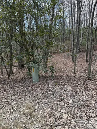 $85,000 | 0 Line Runner Ridge Road, Rosman, NC 28772