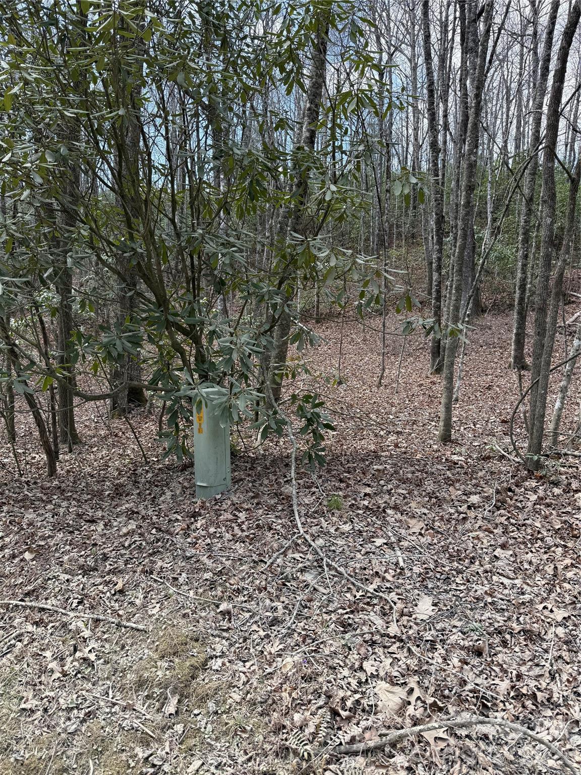 0 Line Runner Ridge Road Rosman, NC 28772 - Photo 13 of 20 a garden view
