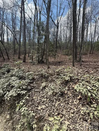 $85,000 | 0 Line Runner Ridge Road, Rosman, NC 28772