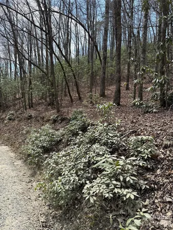 $85,000 | 0 Line Runner Ridge Road, Rosman, NC 28772