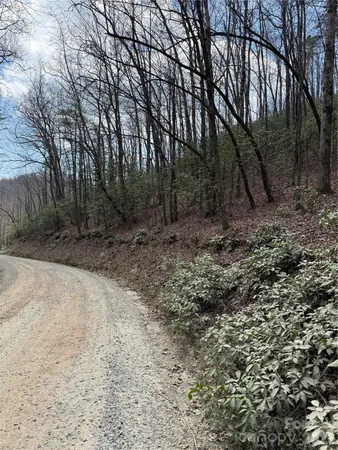 $85,000 | 0 Line Runner Ridge Road, Rosman, NC 28772