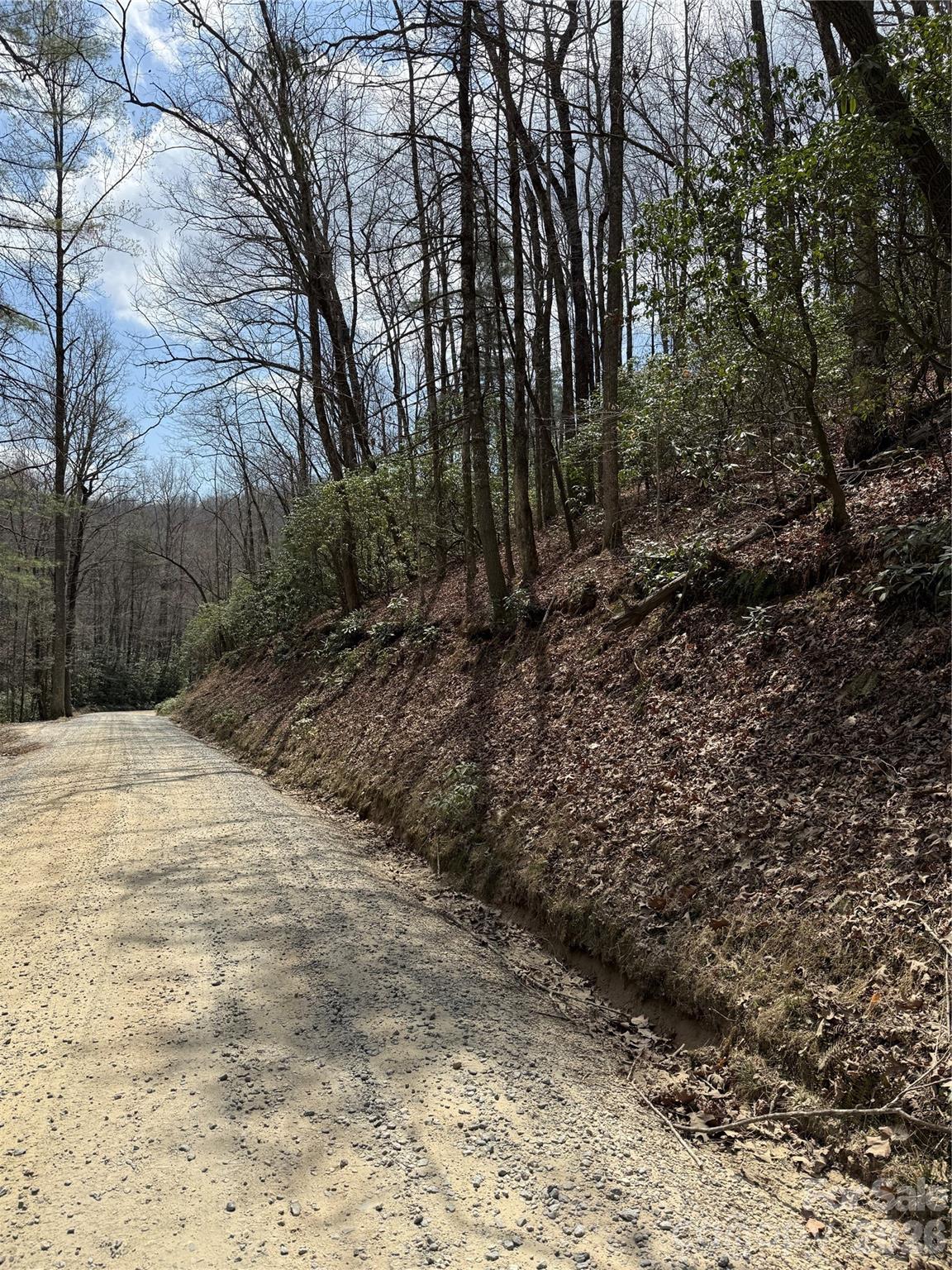 0 Line Runner Ridge Road Rosman, NC 28772 - Photo 18 of 20 a view of a yard with trees