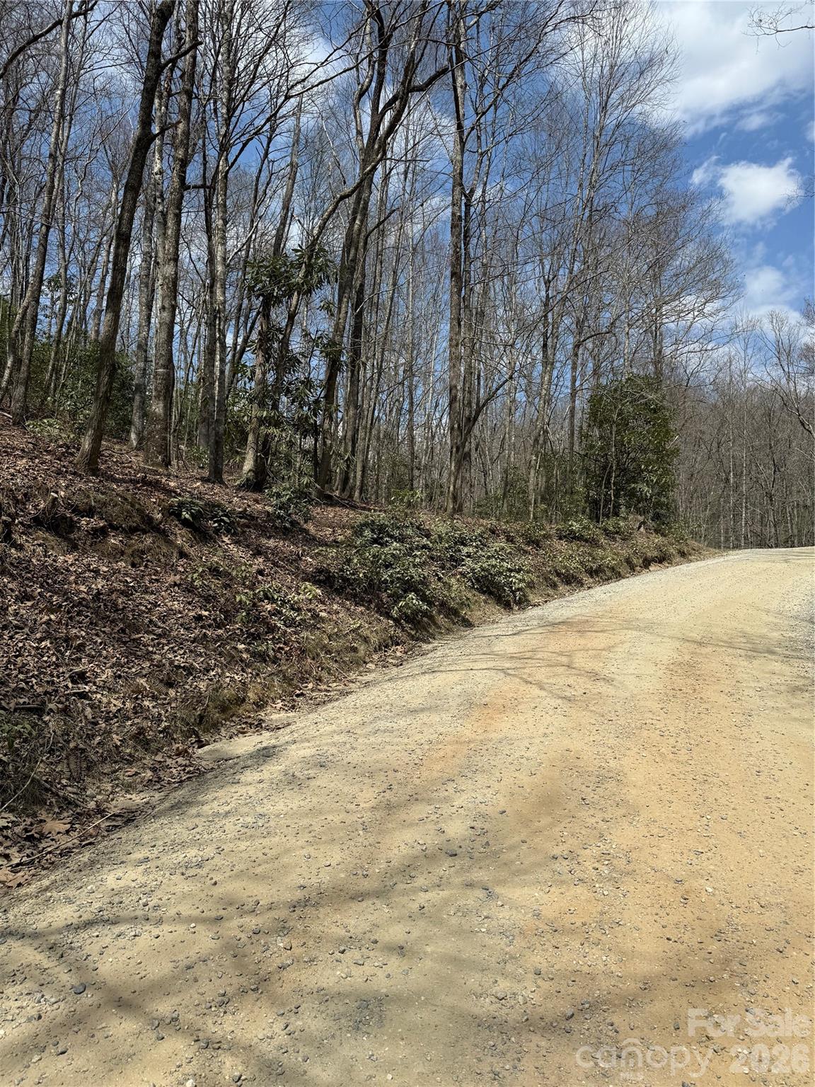 0 Line Runner Ridge Road Rosman, NC 28772 - Photo 19 of 20 a view of a yard with trees