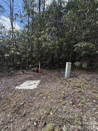 $85,000 | 0 Line Runner Ridge Road, Rosman, NC 28772