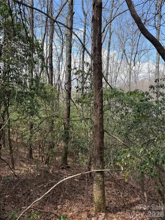 $85,000 | 0 Line Runner Ridge Road, Rosman, NC 28772