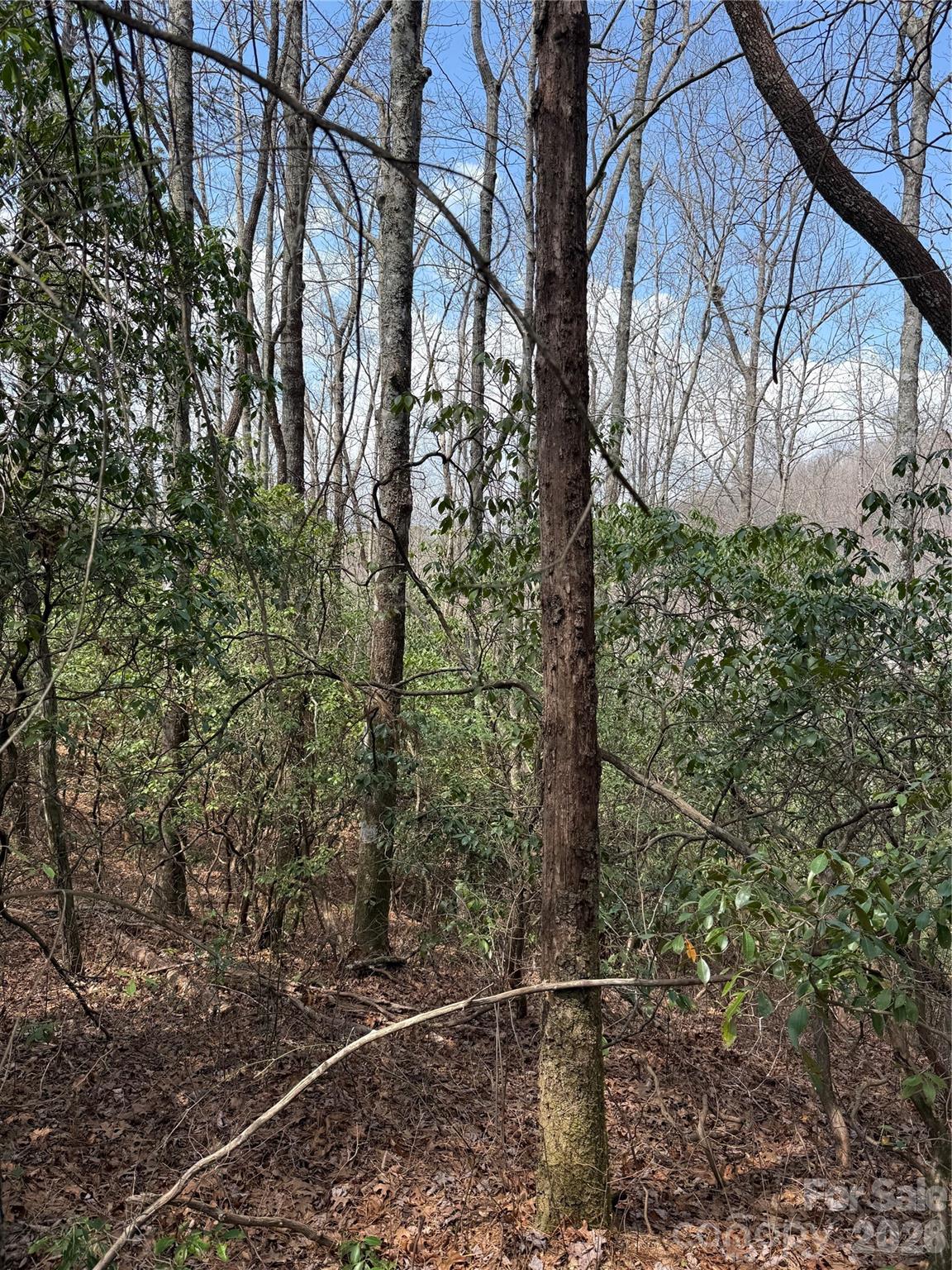 0 Line Runner Ridge Road Rosman, NC 28772 - Photo 2 of 20 a backyard of a house with lots of green space