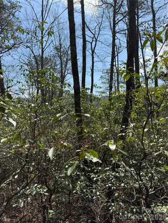 $85,000 | 0 Line Runner Ridge Road, Rosman, NC 28772