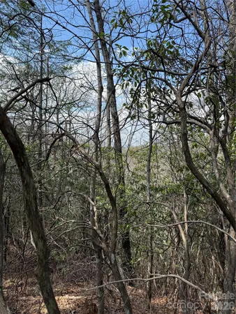 $85,000 | 0 Line Runner Ridge Road, Rosman, NC 28772