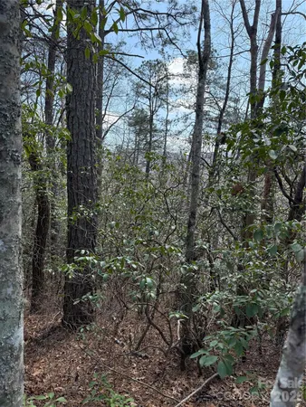 $85,000 | 0 Line Runner Ridge Road, Rosman, NC 28772
