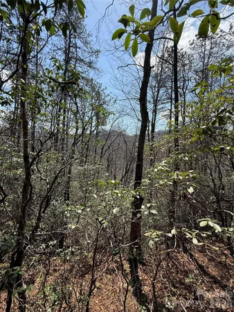 $85,000 | 0 Line Runner Ridge Road, Rosman, NC 28772