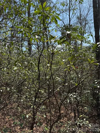 $85,000 | 0 Line Runner Ridge Road, Rosman, NC 28772