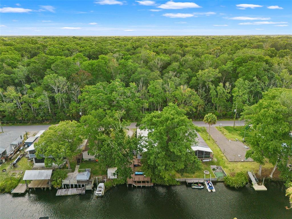 6380 Richard Drive Weeki Wachee, FL 34607 - Photo 50 of 54