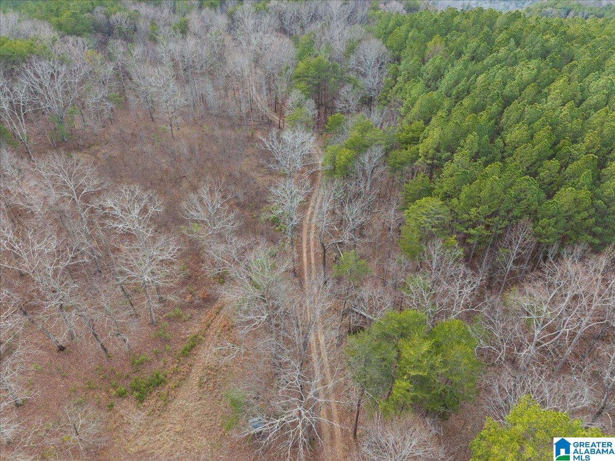 1484 Waid Road Oneonta, AL 35121 - Photo 30 of 33