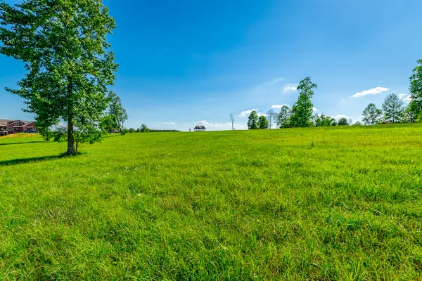 $289,900 | 0 Jasper Highlands River Bluffs Drive, Unit LOT 46, Jasper, TN 37347