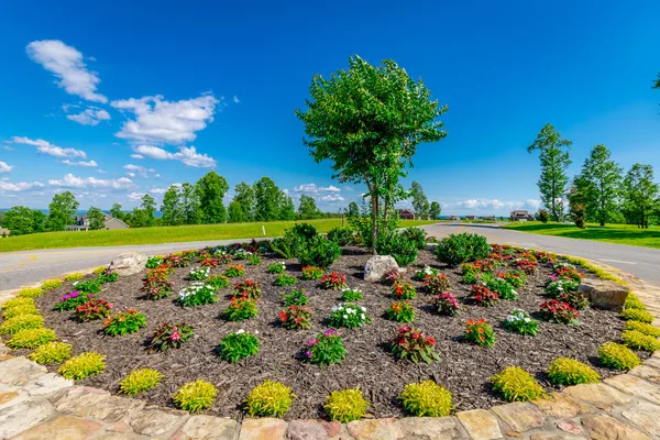 $289,900 | 0 Jasper Highlands River Bluffs Drive, Unit LOT 46, Jasper, TN 37347
