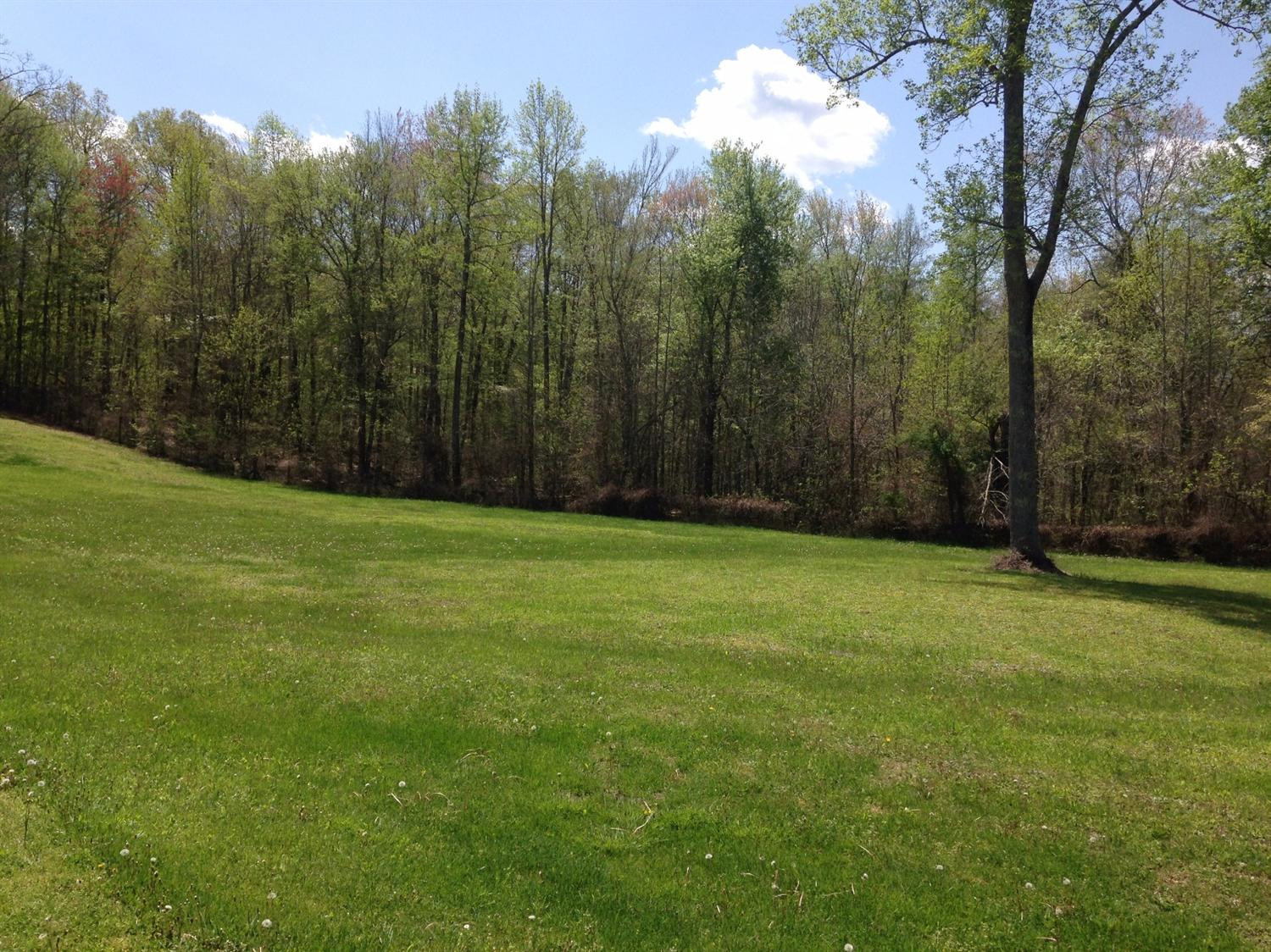 359 Tye Town School Road Corbin, KY 40701 - Photo 11 of 21 Photo 11