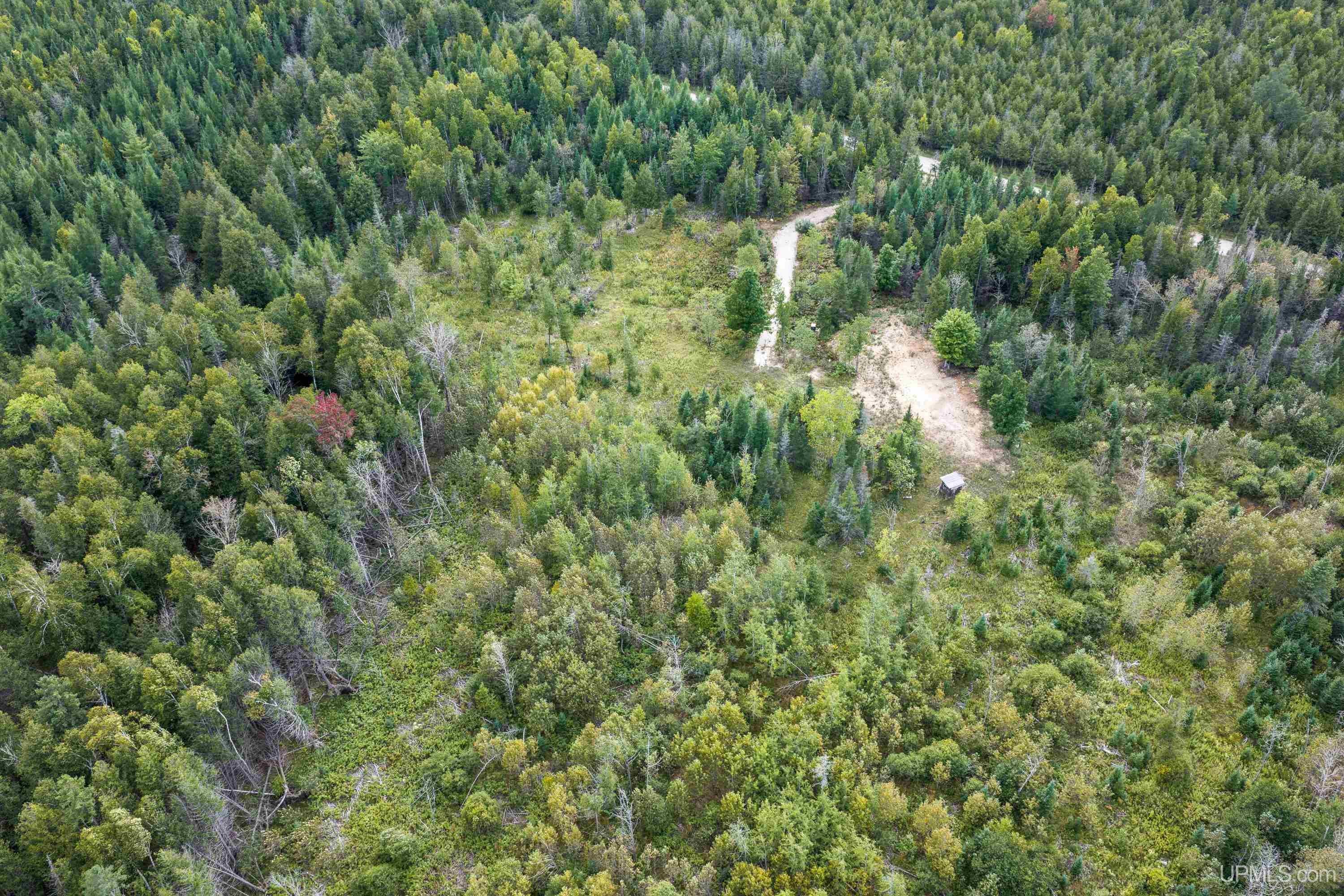 Tbd Oro Road Spalding, MI 49886 - Photo 4 of 22 Gallery Image 4