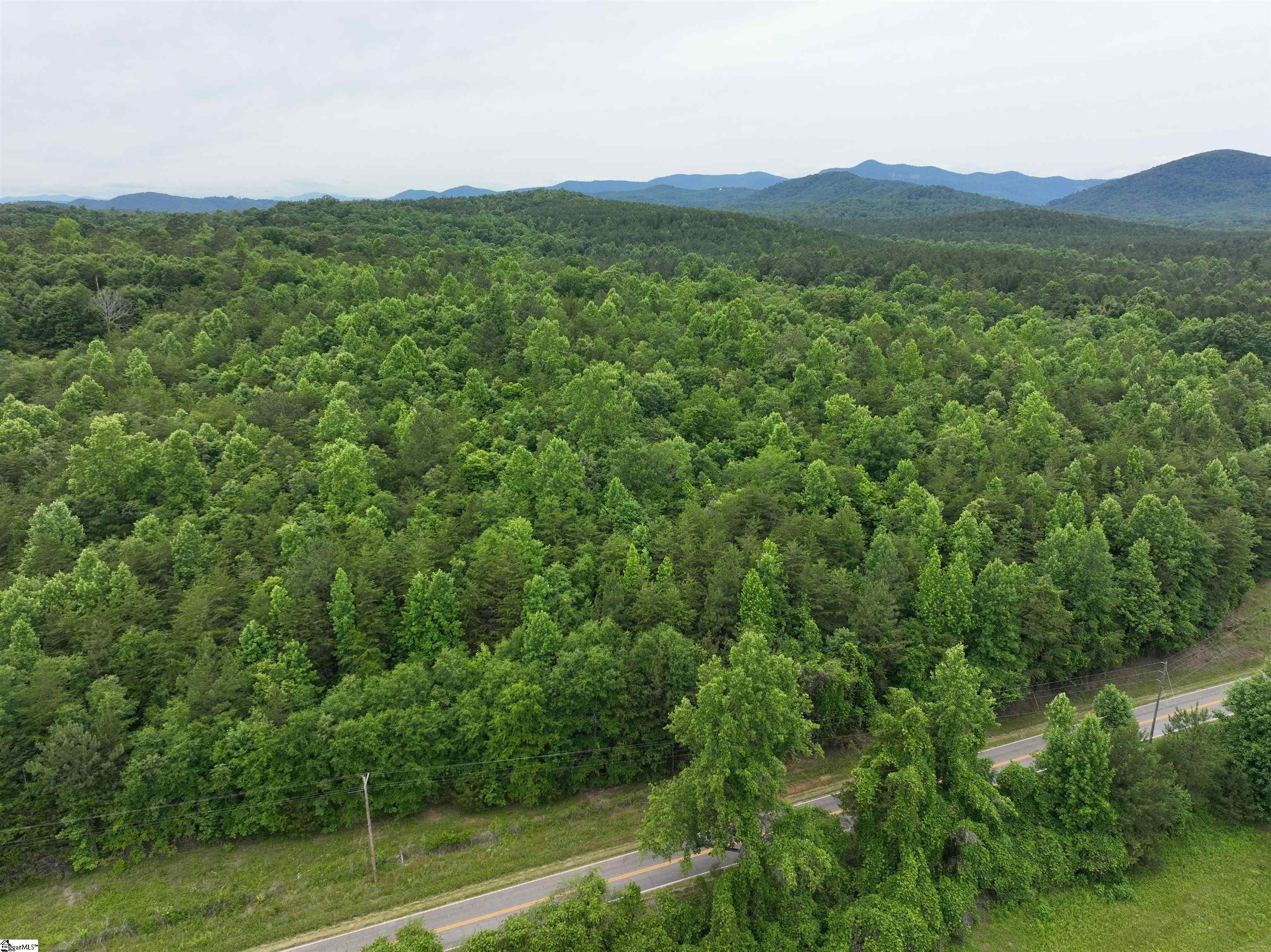 501 Midway Road Pickens, SC 29671 - Photo 3 of 17