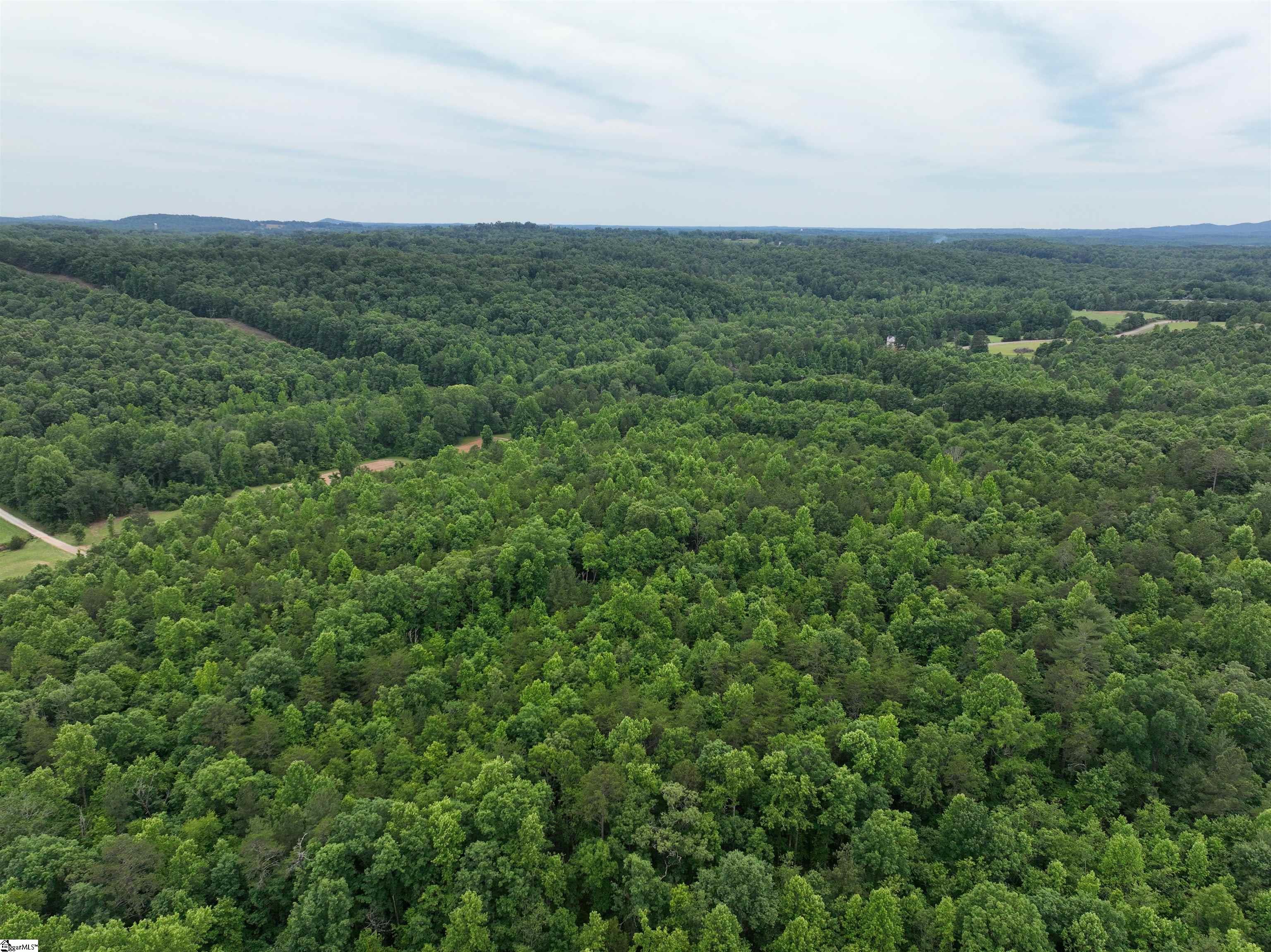 501 Midway Road Pickens, SC 29671 - Photo 7 of 17